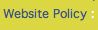 Website Policy