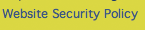 Website Security Policy